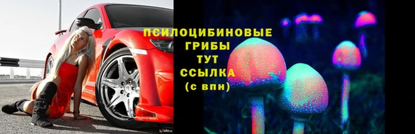 прущий лед Алексин