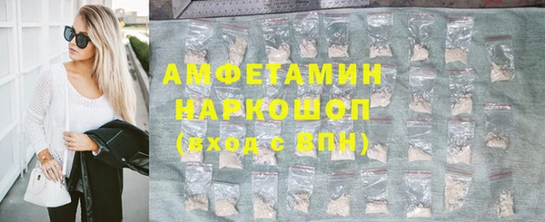 стаф Алзамай