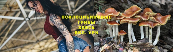 бутират Абаза